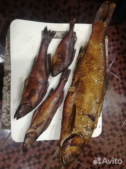 Рыба копченая