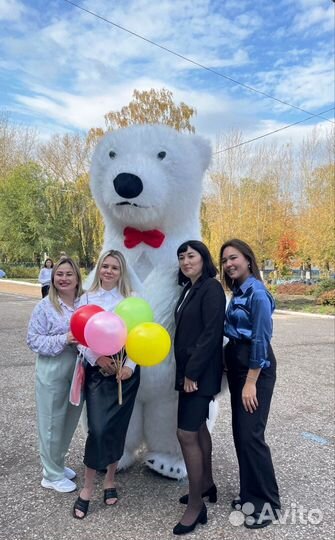 Поздравление от ушастика