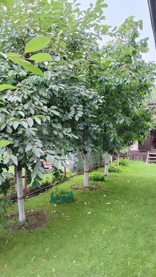 Дом 104,2 м² на участке 8 сот.