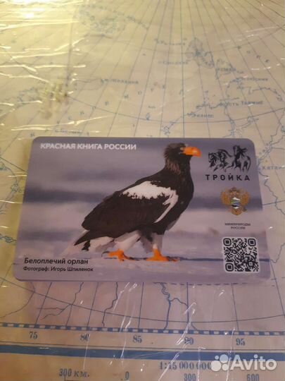 Тройка красная книга