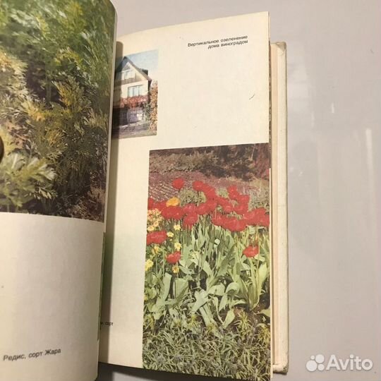 Садово огородный участок