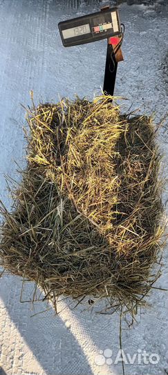 Сено в тюках