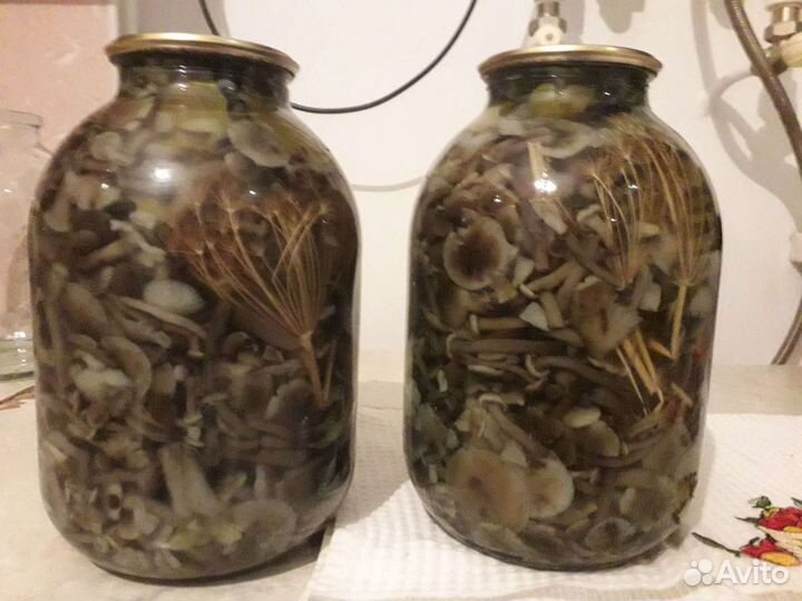 Грибы опята