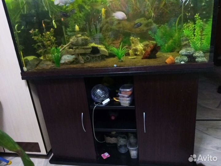 Аквариум