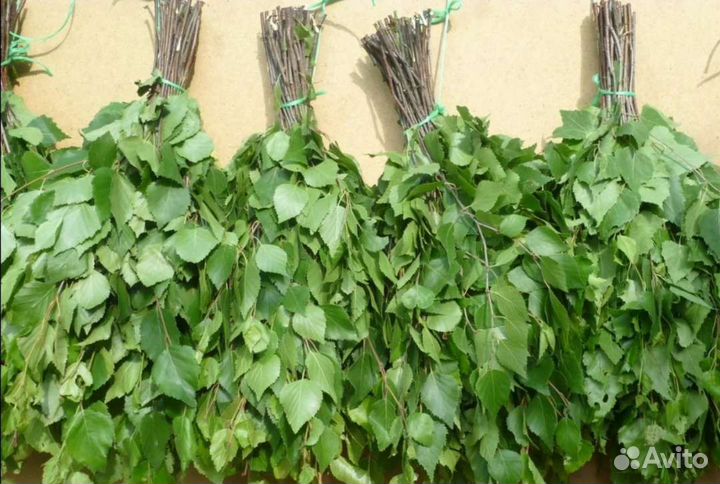 Березовые веники