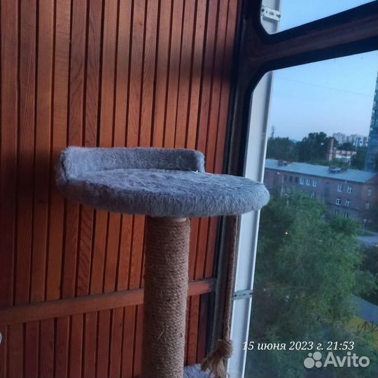 Когтеточка