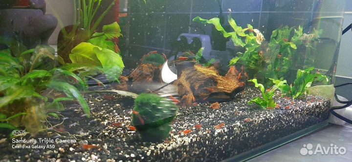 Аквариум 45 литров