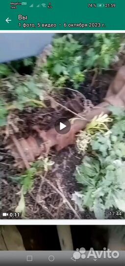 Задний мост ford transit 2010 парка. Спарка