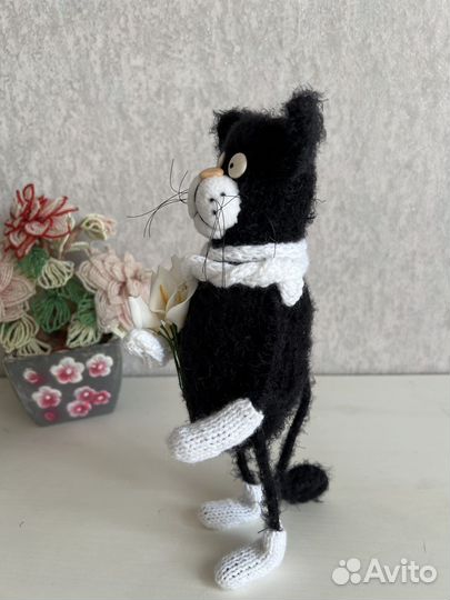 Кот