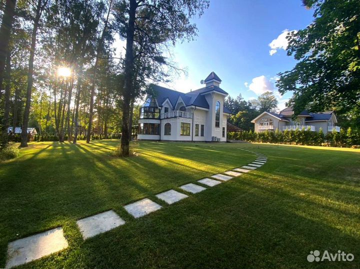 Рулонный газон