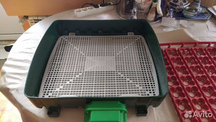 Инкубатор, перосьемная машина, шпарчан