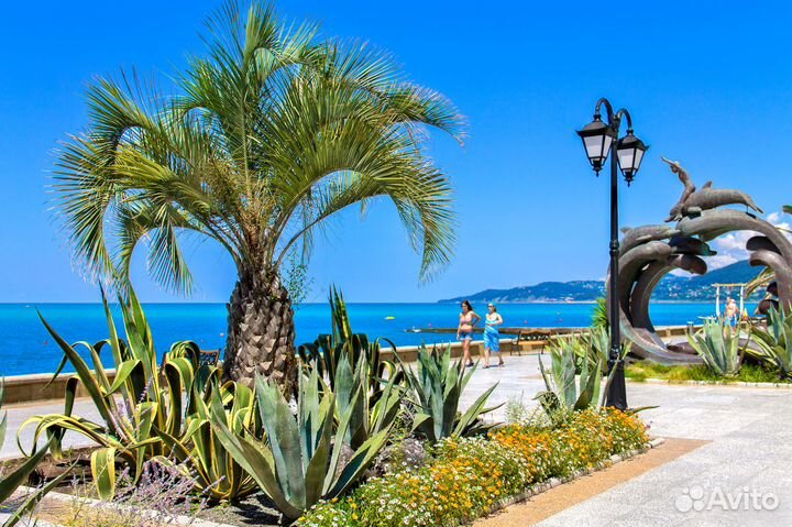 Тур в Сочи из Уфы 16 сентября на 6 ночей