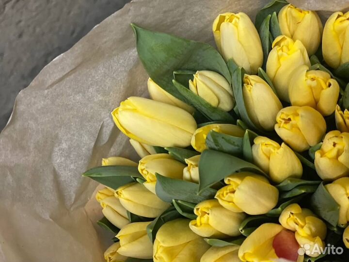 Тюльпаны к 8 марта розница/ опт