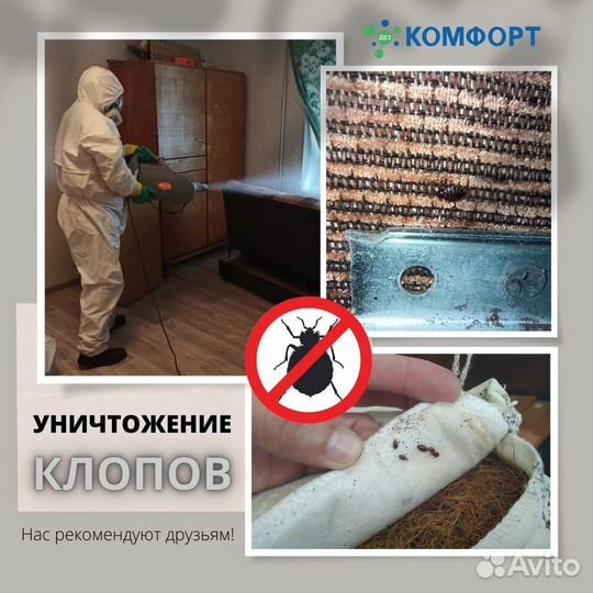 Уничтожение тараканов, клопов, блох