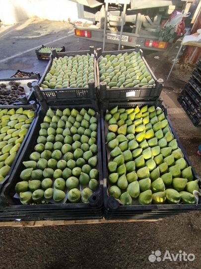 Овощи и фрукты с доставкой