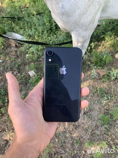 iPhone xr 64gb