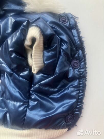 Комбинезон для маленькой собаки зима теплый синий