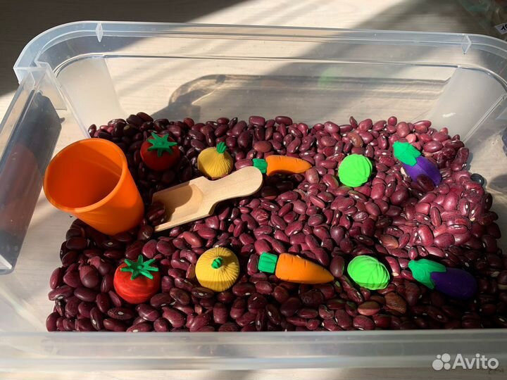 Сенсорная коробка (огород)