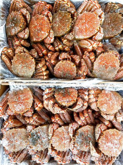 Оптом Краб Камчатский