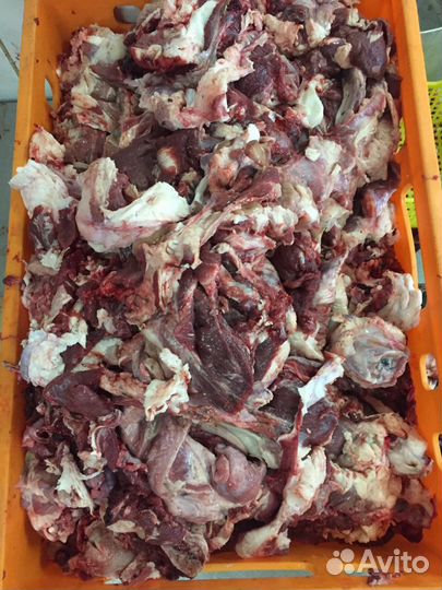 Обрезки говяжьи для животных