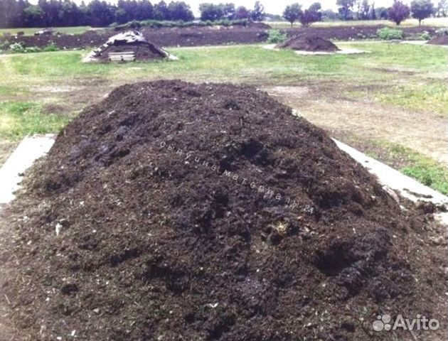 Чернозем, навоз, перегной. камаз