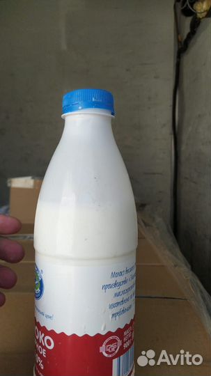 Грузчик Амур