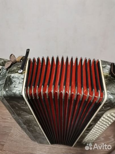 Аккордеон