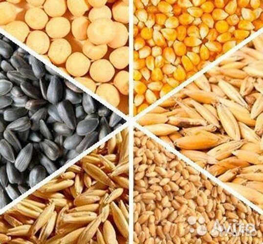 Пшеница,кукуруза,отруби,комбикорм