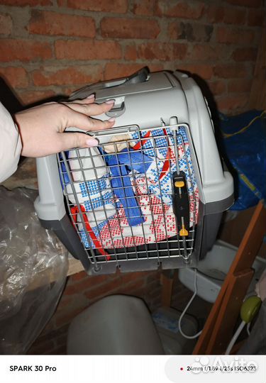 Переноска для животных пластиковая