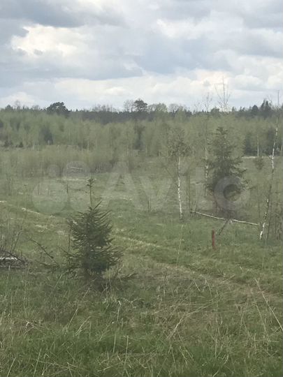 Участок 10 сот. (ИЖС)