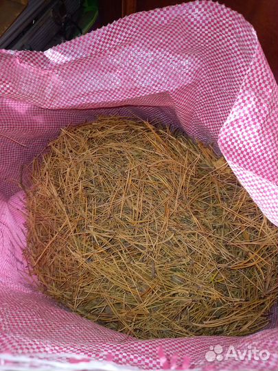 Хвойный опад