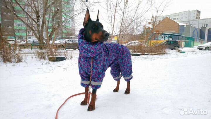 Зимний комбинезон на большую собаку