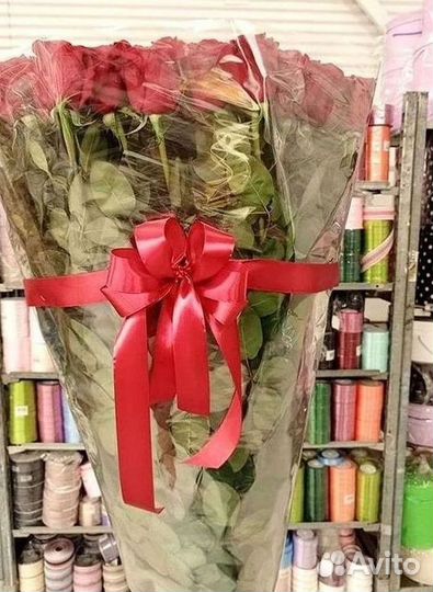 101 роза цветы букеты доставка 25 51 101 роза