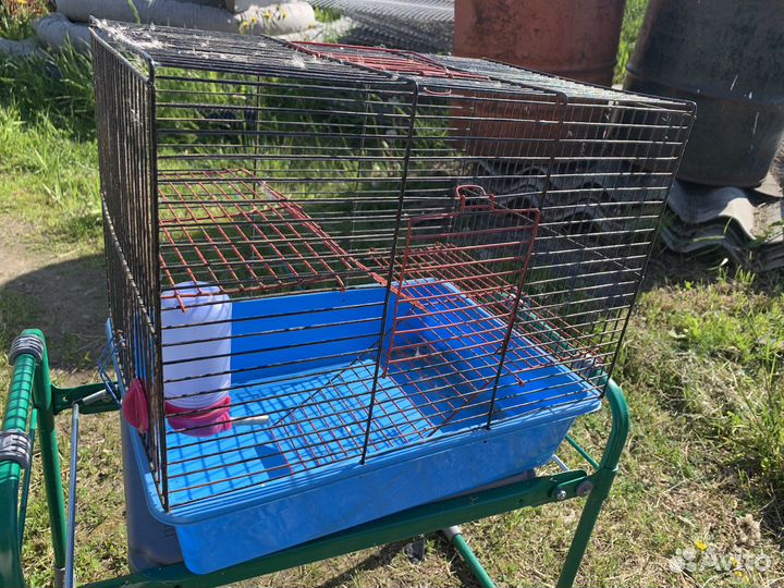 Клетка для грызунов