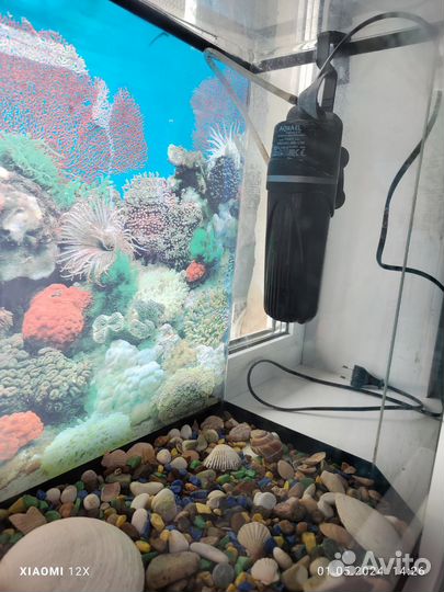 Аквариум панорама + декор + фильтр + нагреватель +