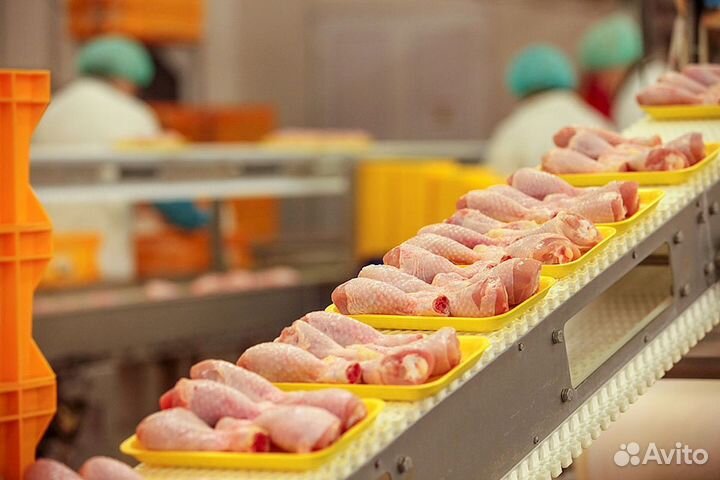 Вахта в Пензе/Птицефабрика/Упаковщик(цы) /Без опыт