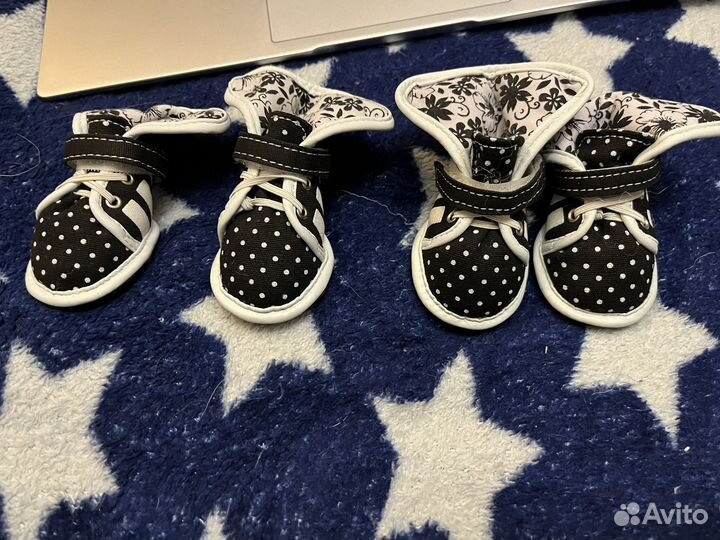 Обувь для собак