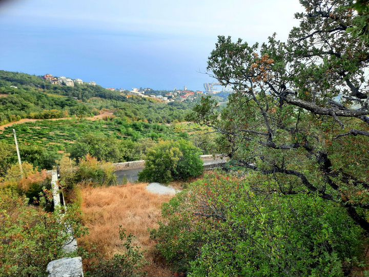 Участок 12 сот. (ИЖС)