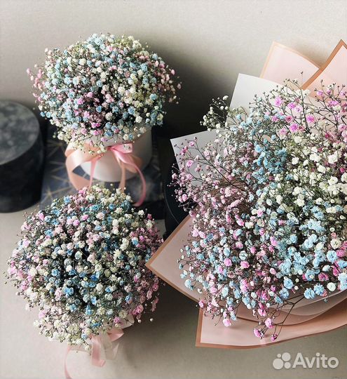 Гипсофила. Композиции Цветов. Гипсофила Радужная