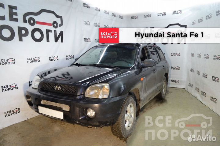 Пороги Hyundai Santa Fe I