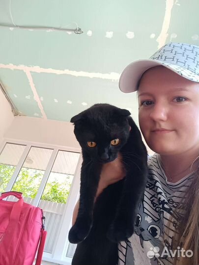 Ветеринарный врач выезд на дом