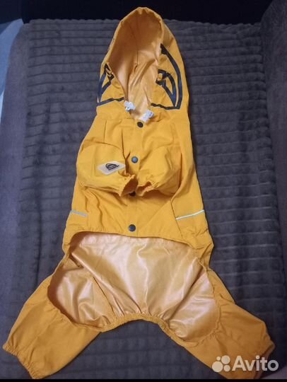 Одежда для собак