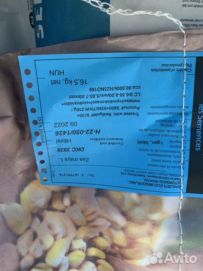 Семена кукурузы