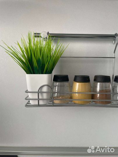 Зелень в горшках