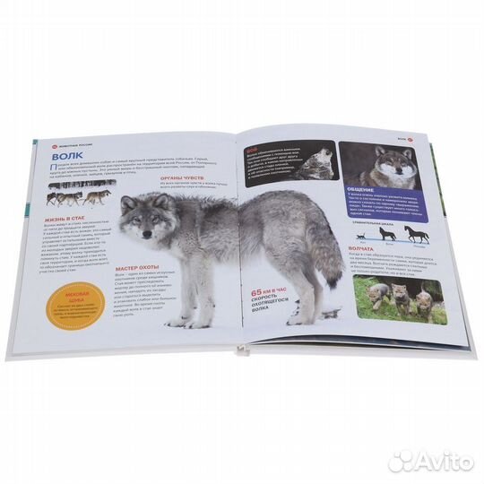 Большая детская энциклопедия 