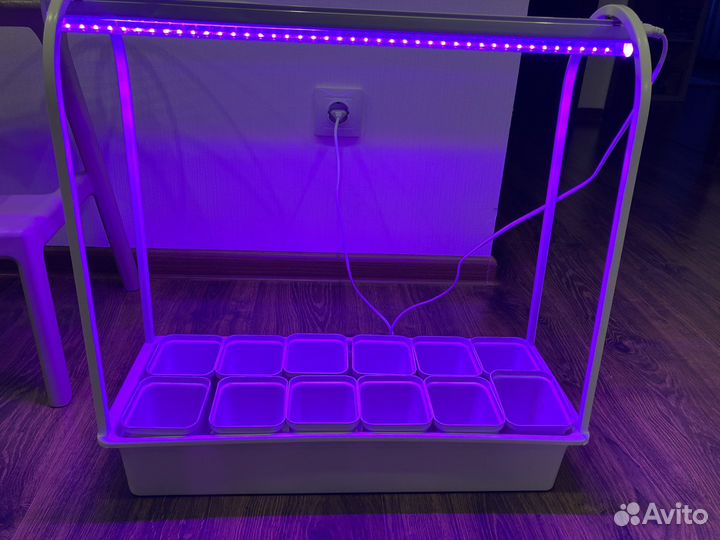 Набор для выращивания микрозелени и рассады