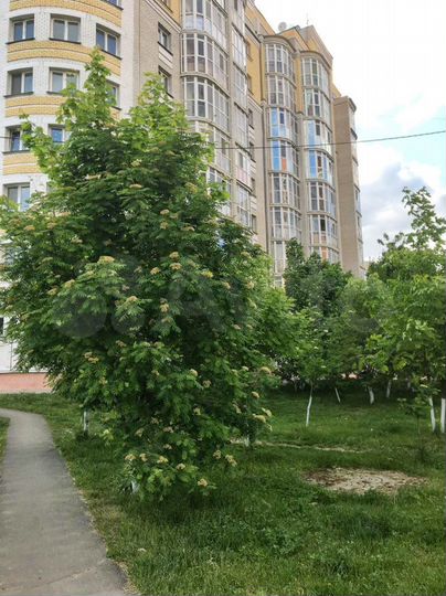 1-к. квартира, 47,4 м², 3/9 эт.