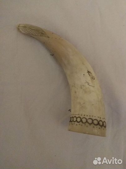 Рог сувенирный натуральный