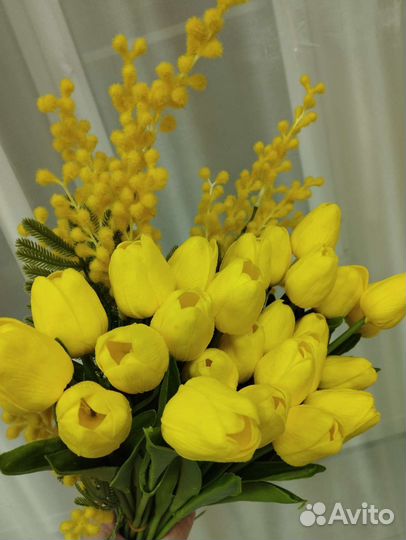 Мимоза искусственная