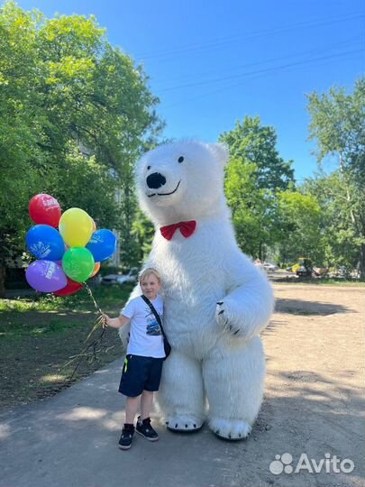 Поздравление от 3м белого медведя аниматор